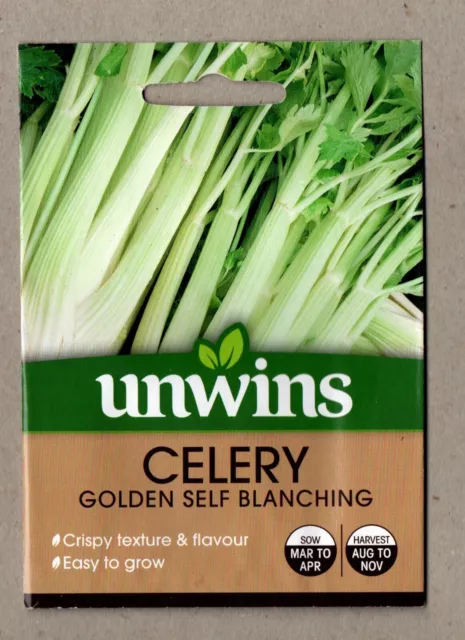 UNWINS  Celery Golden Self Blanching 350 Seeds - 🧡 FREESHIPPING 🧡