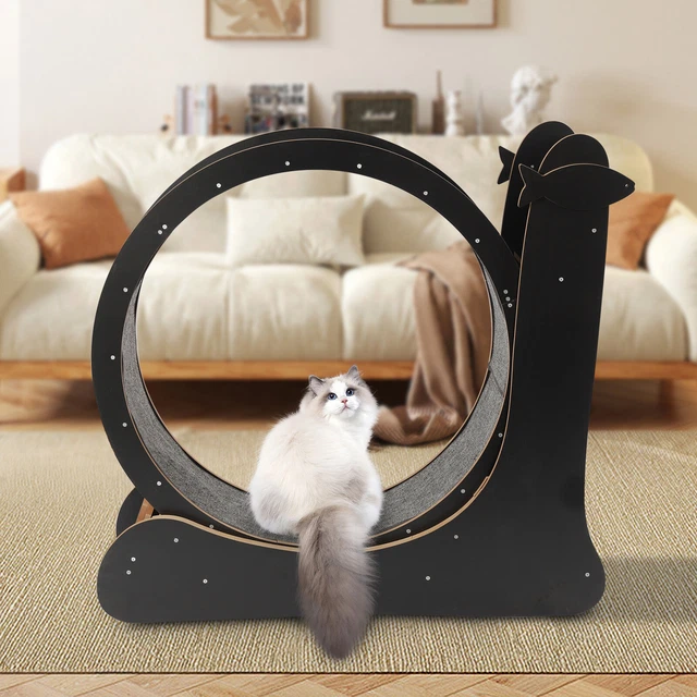 CAT EXERCISE WHEEL Cat Treadmill Kitty Running Training Toy Weight Loss