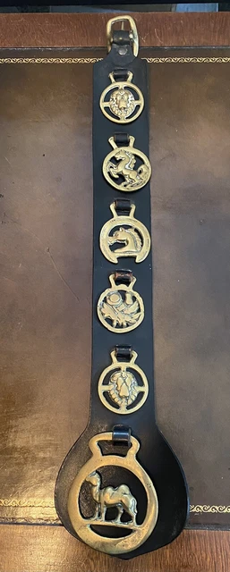 6 Brass Medallions on Leather Strap Camel Horses
