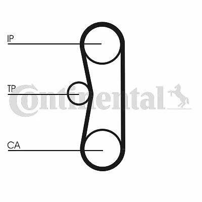 Continental Kit De Distribution Pour Citroën C25 Autobus/Autocar 2.5 D