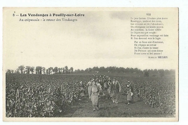 58 Les Vendanges A Pouilly Sur Loire Le Return Des Vendanges Au Twilight