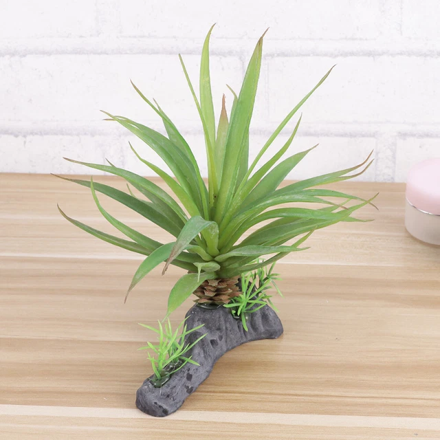 Ciotole Per Rettili Trixie Foresta Pluviale - Set Da 2 | In Resina Alimentare 10x2.5x7.5 Cm