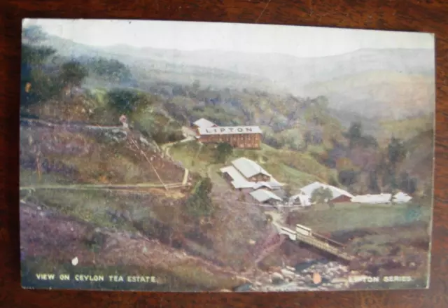 Edwardian Postcard   View on Ceylon Tea Estate Lipton series posted  1907