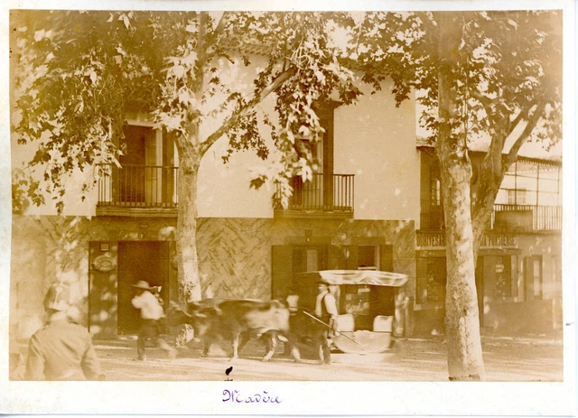 Tirage Albuminé Vintage Du Portugal, Vitoria - Format 11x16 Cm, Circa 1880 - Pièce De Collection