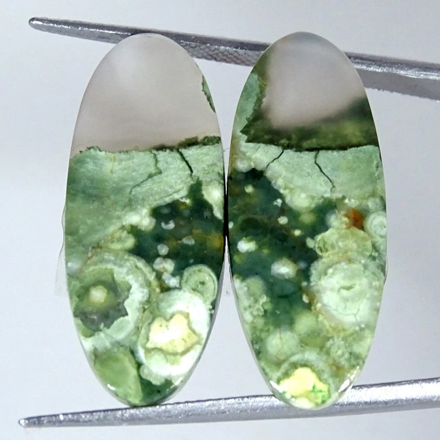 25.00Cts Natürlich Regenwald Jaspis Paar Rhyolite Oval Cabochon Lose Edelsteine