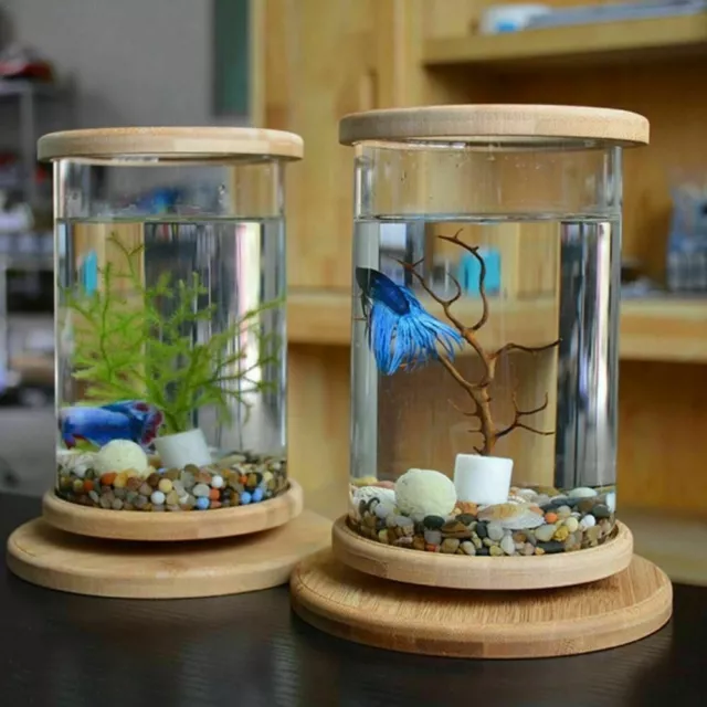 360° Rotate Mini Fish Tank 14.5x18cm Glass+Bamboo Base Aquarium Home Decoration