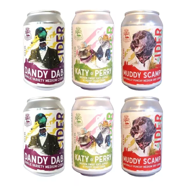 The Purbeck Cider Company - Craft Cider Can Selection - 6 Cans