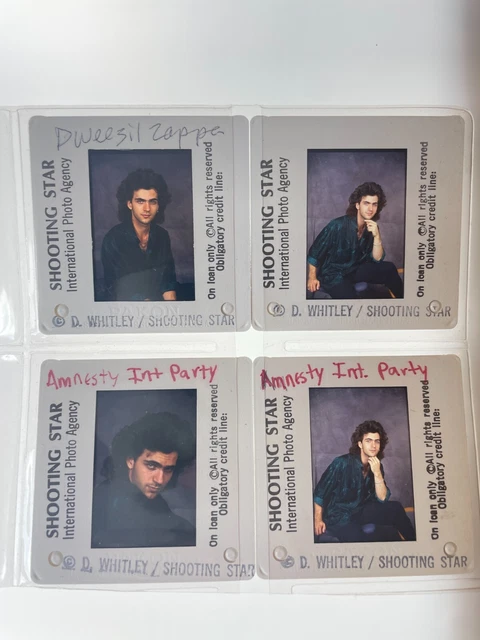 Dw4-829 Dweezil Zappa Lot (4) 35Mm Orig Slide Via Dianna Whitley