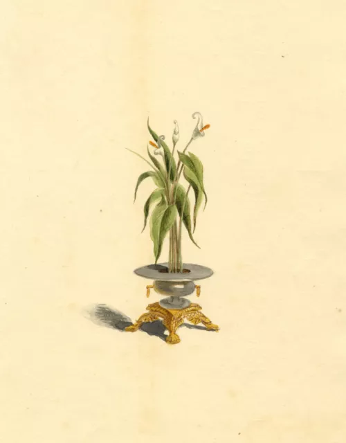 Arum Lily Flowers in Urn Arrangement – early 19th-century watercolour painting