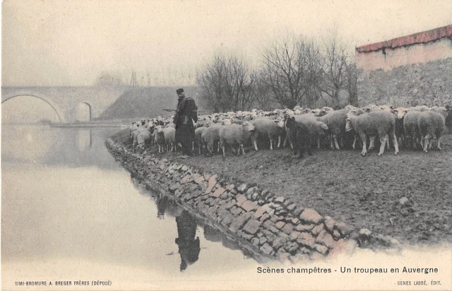 Cpa 63 Scenes Champetres Un Troupeau En Auvergne
