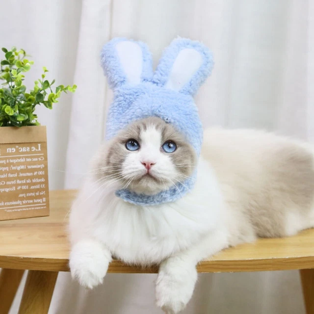 de compagnie Coiffure pour animaux de compagnie Bunny Chapeaux Petits Chiens