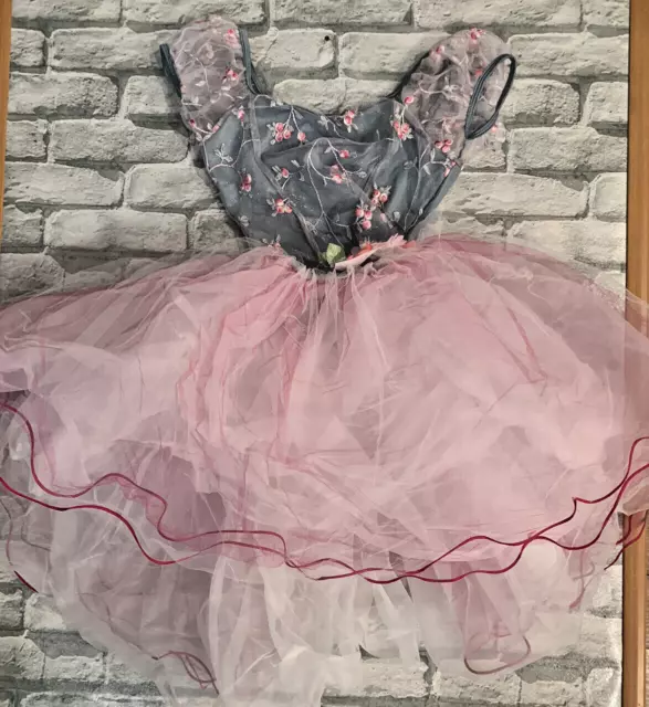Curtain Call Costume Pink And blue  Dance Ballet Size adult small