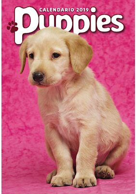 Byblos Cagnolini Puppies Calendario Da Parete 2020 BYBLOS 