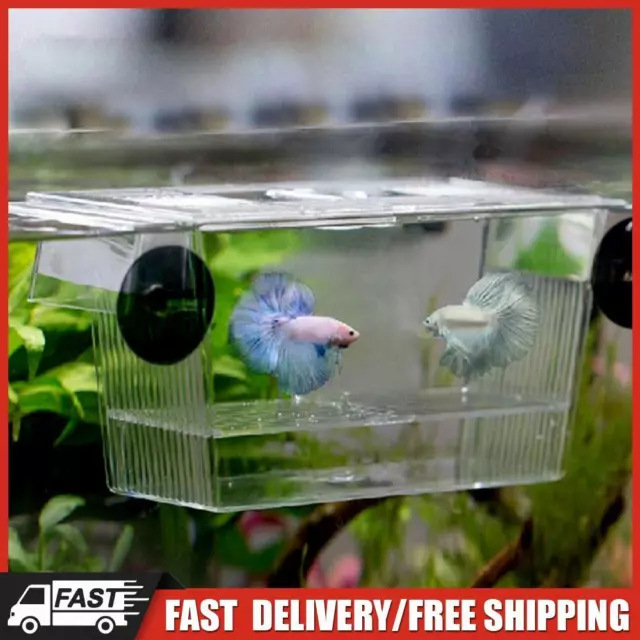 Acrylic Fish Tank Isolation Box Aquarium Juvenile Fish Breeding Incubator Holder