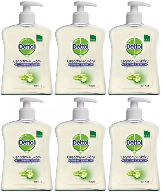 DETTOL Gel Savon - Hydratant  Aloe Vera Antibactérien 250 ml Lot de 6