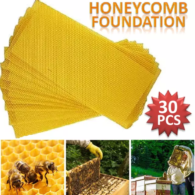 30PCS Honeycomb Foundation Bee Hive Wax Frames Waxing Beekeeping Equipment Sheet