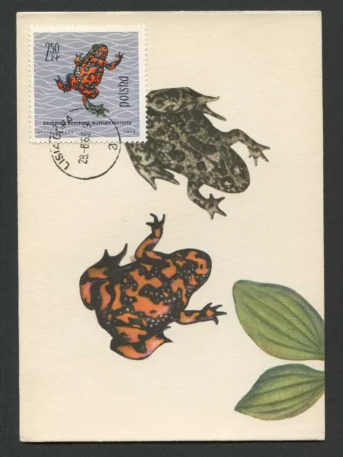 POLEN MK 1963 TIERE KRÖTE UNKE TOAD MAXIMUMKARTE CARTE MAXIMUM CARD MC CM d1993