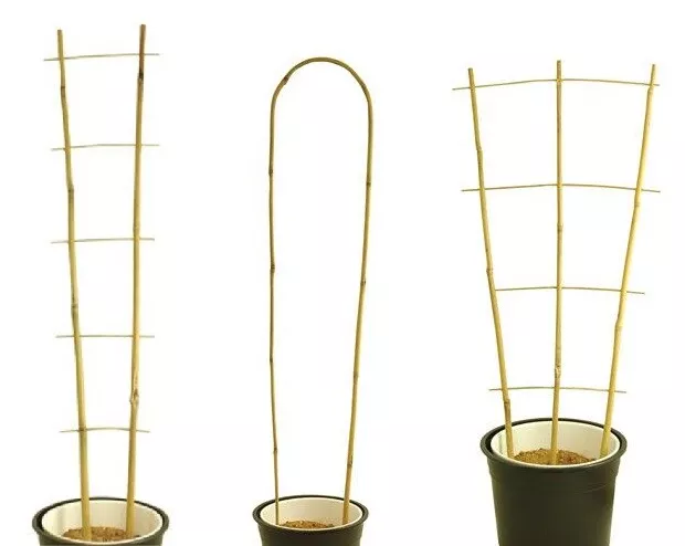 Bamboo Cane Plant Pot Trellis Fan Garden Flower Support Frame Stake Stick Pole