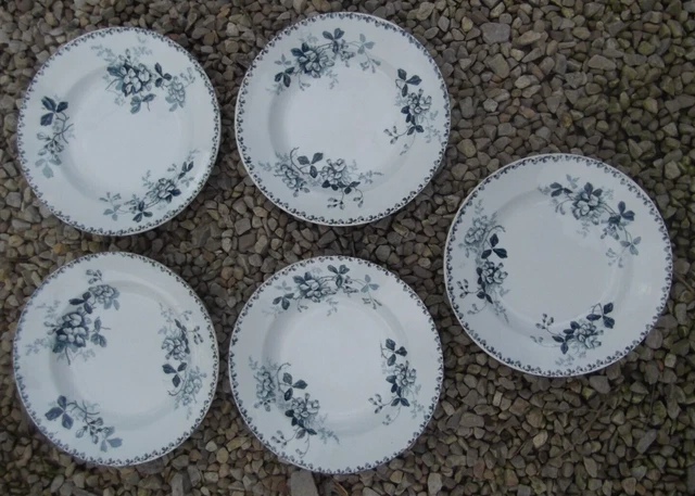 5 ancienne Assiettes creuses Terre de Fer Art nouveau Saint Amand modèle Acacia