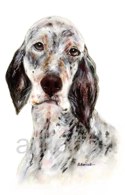 ENGLISH SETTER  DOG  ACEO Card Print by A Borcuk   2.5"x3.5"