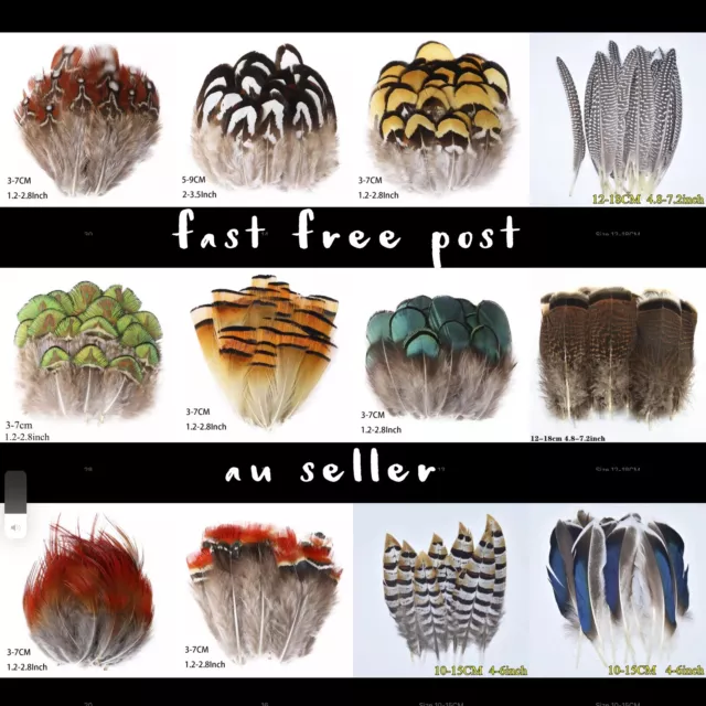 40 Types Natural Feathers Peacock Rooster Goose Guinea Duck Pheasant DIY Craft