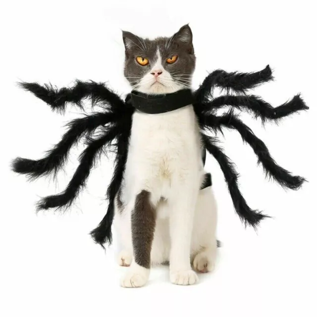 Halloween Mascota Negro Araña Disfraz Perro Gato Cachorro Araña Cosplay Ropa Conjunto