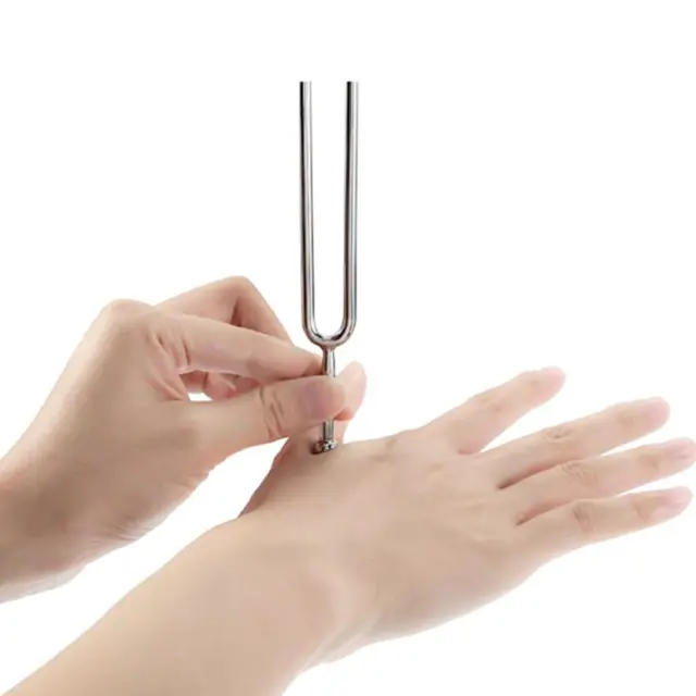 440 Hz TUNING FORK with Soft Shell Standard A Tuning Fork O9E2
