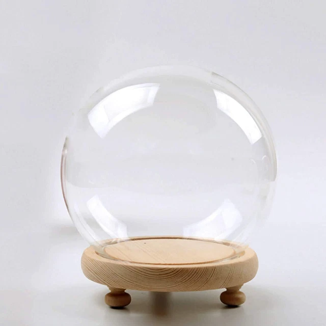 Round Glass Cloche Ball Jar Dome Tabletop Display with Wooden Base Di...