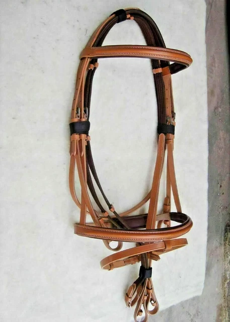 Choisir le bon licol cheval: guide des tailles