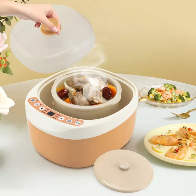 250W Electric Cooker Stew Automatic Ceramic Soup Baby Porridge Stewing Pot 2L