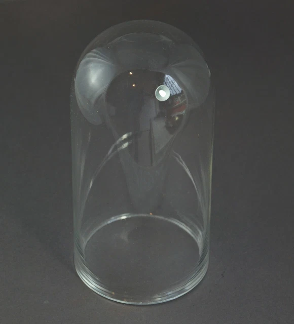 Cúpula de Cristal - Campana de Cristal, 19 Siglo, 21CM (#11936)