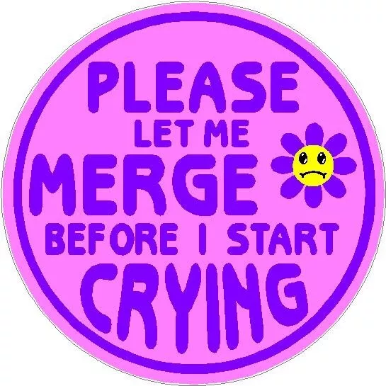 Please Let Me Merge Before I Start Crying  Bumper Sticker Waterproof Decal 4"