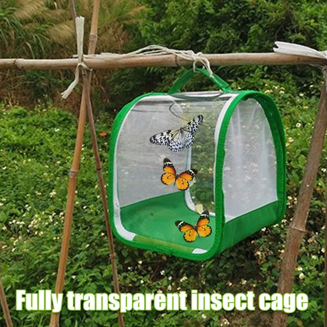 POP UP NET Insect Habitat Cage Butterflies Moths Stick Insects