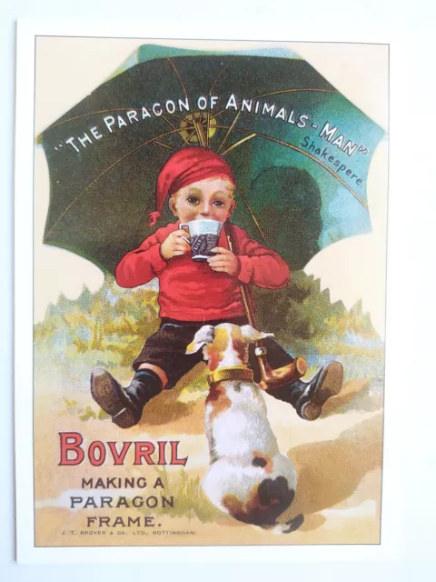 Bovril Advertising Picture Postcard MODERN Reproduction