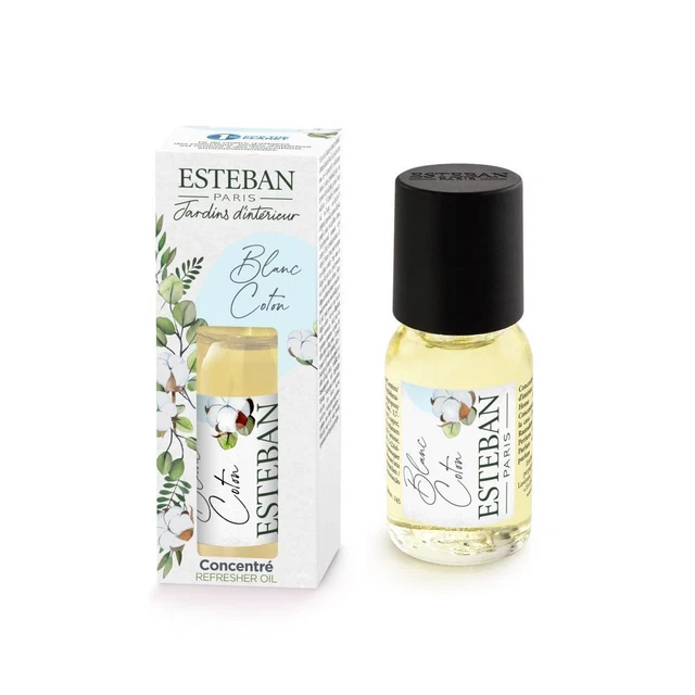 Concentrato Profumato Esteban Paris Per Diffusori - Tè E Pan Di Zenzero 15 Ml - Fragranza Calda E Speziata, Made In France