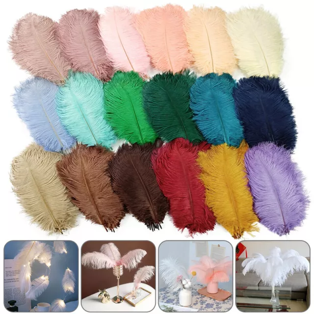 10pcs 6-16’’ inches/15-40 cm natural ostrich feathers 12 colors available DIY