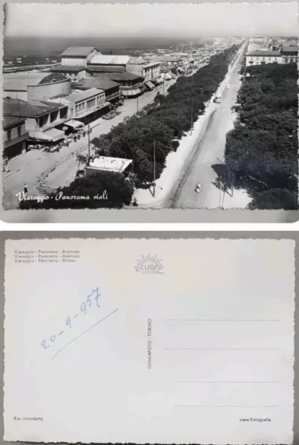 Cartolina Viareggio (Lucca) - Panorama Viali  b/n nuova anni 50/60