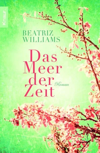 Das Meer der Zeit: Roman Williams, Beatriz und Karin Dufner: