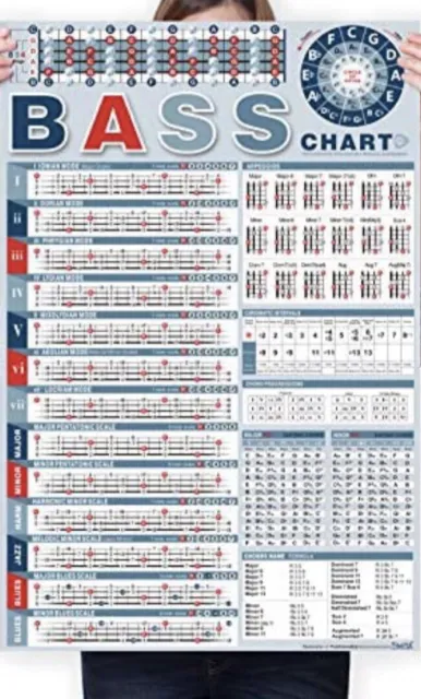 Bass Theory Chart Guitar Chord Poster Chart of Guitar Chords Scales Triads Tone