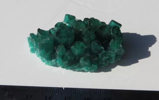 Chatham Emerald Cluster 180.6 carats