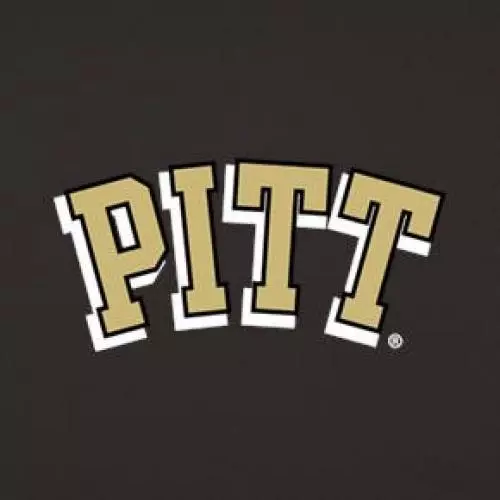 University of Pittsburgh Pitt 2 Design on Black 2nd-4th Generation iPad Swivel S