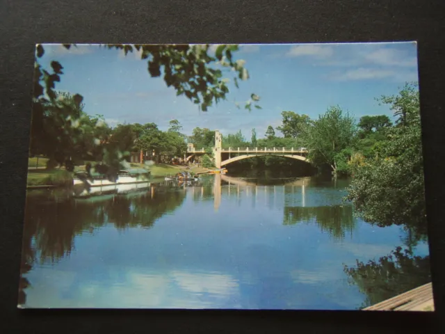 City Bridge And River Torrens Adelaide Postcard