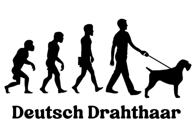 Autoaufkleber/Sticker Innen + Außen / Mann oder Frau Evolution Deutsch Drahthaar