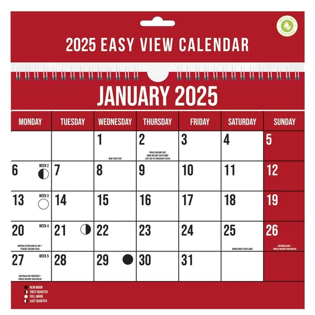 2025 WALL Slim Calendar, Large Month to View Planner, Easy View