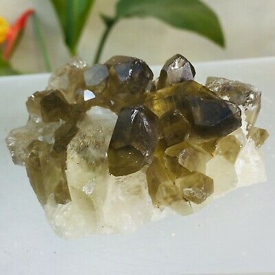 180g Natural Smokey Citrine Quartz Crystal Cluster Mineral Crystal Specimen