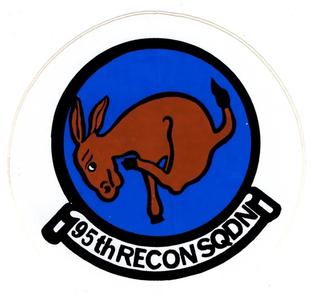 USAF STICKER 95th Reconnaissance Squadron RAF Alconbury USAFE EUR