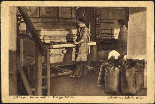 Rumänien Ungarn 1940 GR.MURES ERDÉLYRÉSZI HANGYA SZÖVETKEZET Fantastisches ALBUM RR 11