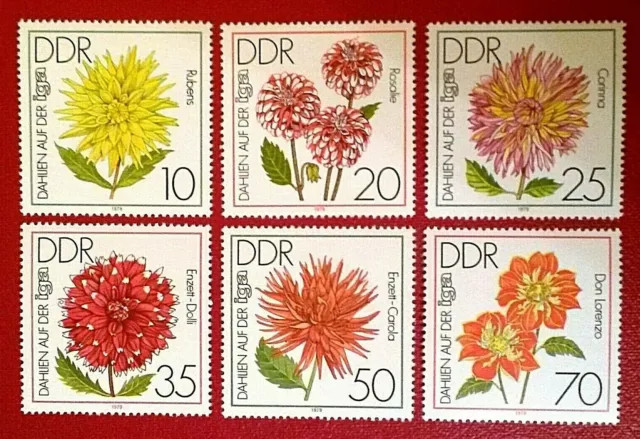 Satz "Dahlien auf der IGA" / DDR 1979