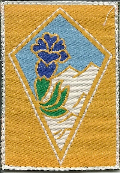 INSIGNE TISSU, PATCH Militaire Du Commandement De La Legion Etrangere