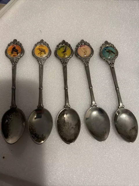 New Zealand Bird Souvenir Spoons